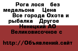 Рога лося , без медальона. › Цена ­ 15 000 - Все города Охота и рыбалка » Другое   . Ненецкий АО,Великовисочное с.